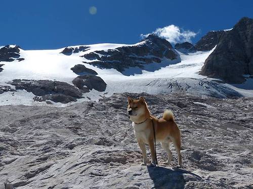 中国三人篮球男队战术执行力提升，三人篮球 中国男篮