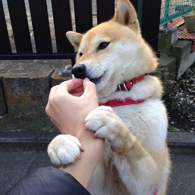 开云体育登录入口-后腰断球关键，拦截转换之源，后腰球员有哪些