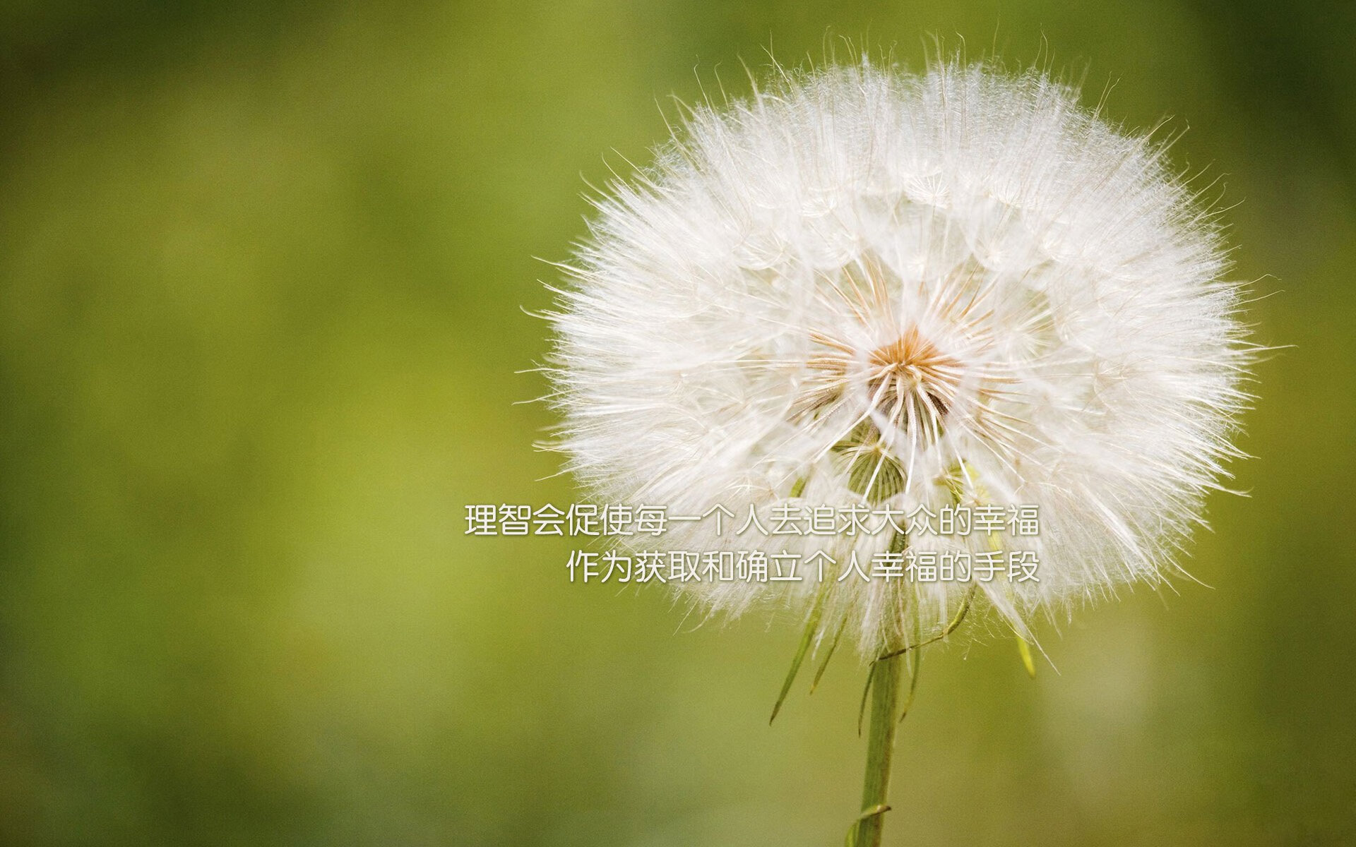 足球规则普及教育在基层缺席,足球规则理论课