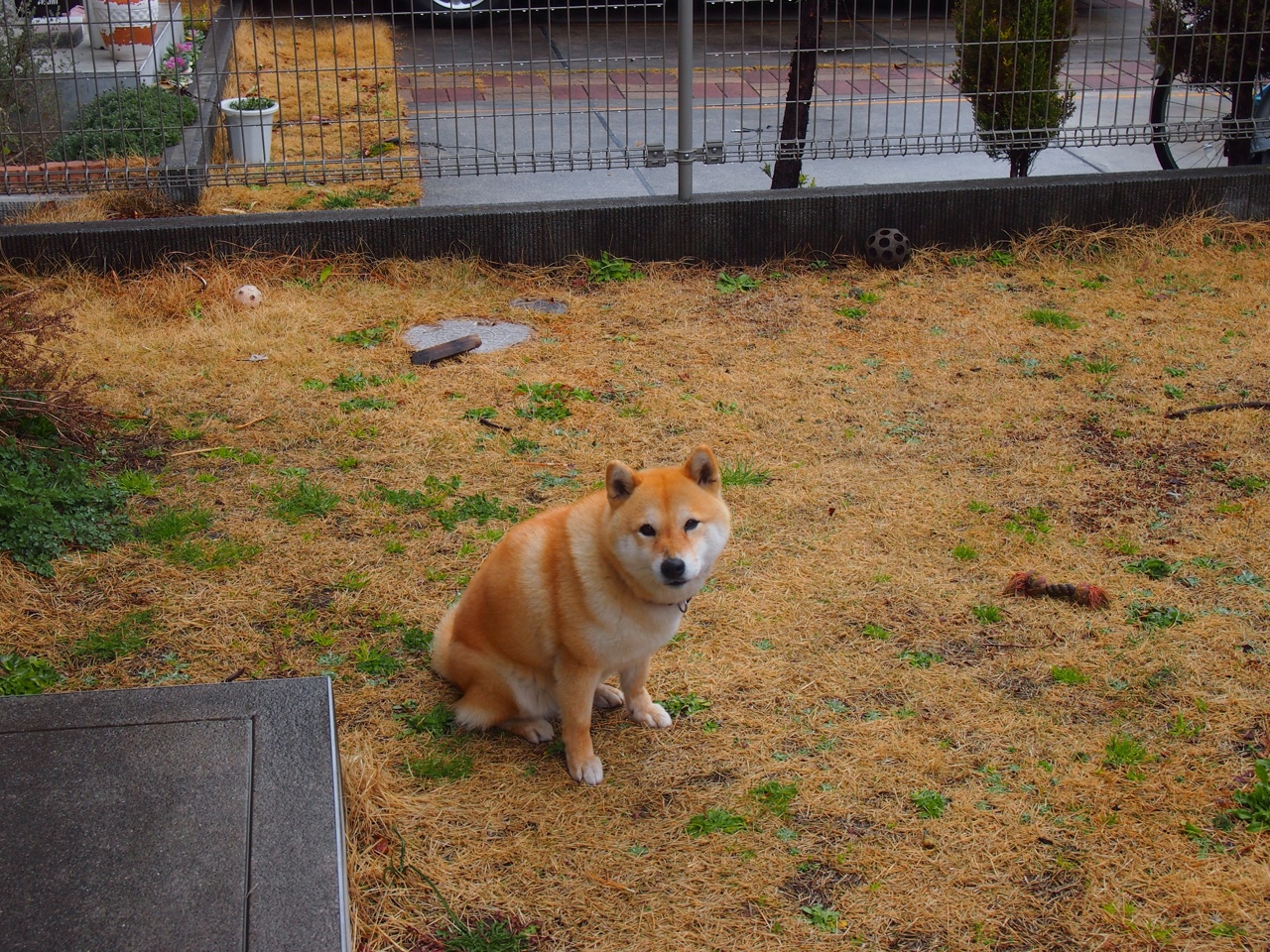 开云体育在线入口-雷恩边锋多次突破带来致命传中球，雷恩是哪个联赛的