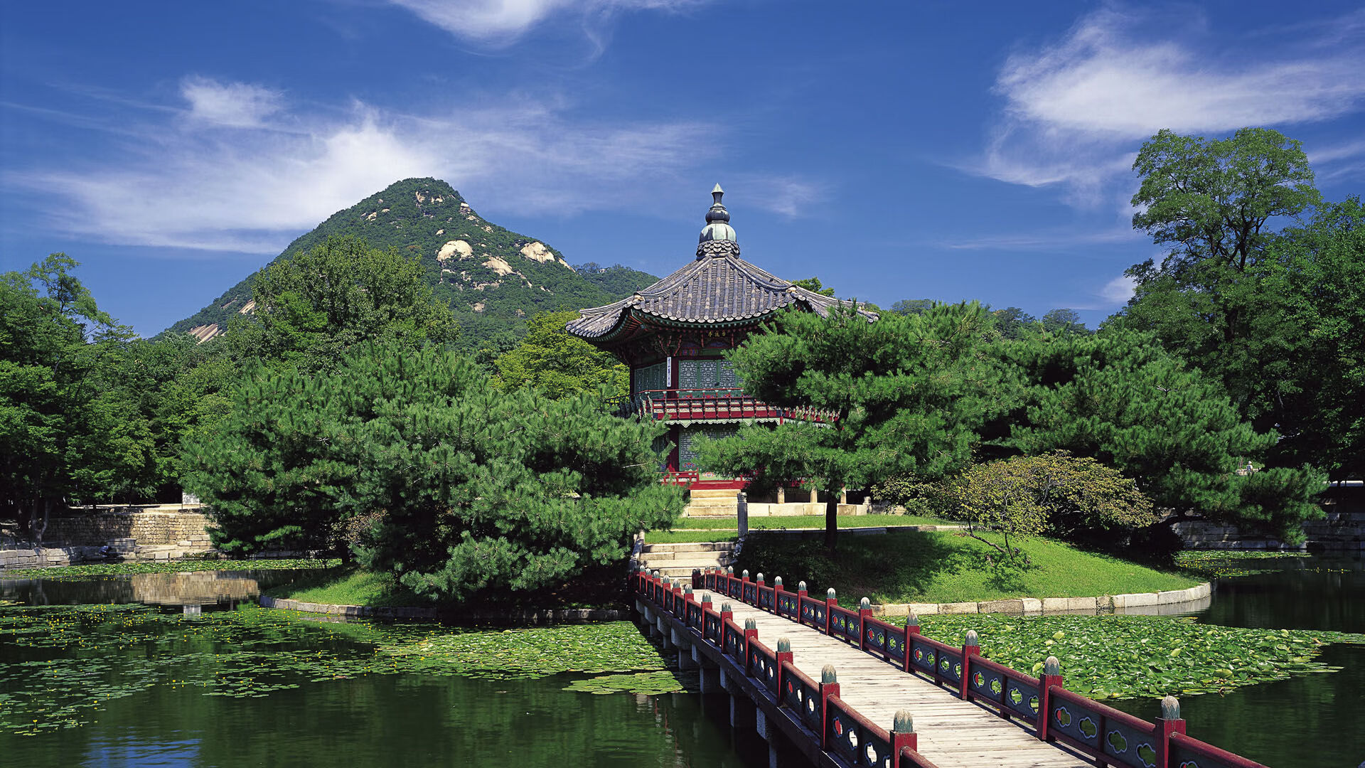 “安赫尔·巴尔博萨的球场感知与精湛技巧,为美洲狮队提供更多进攻选择”