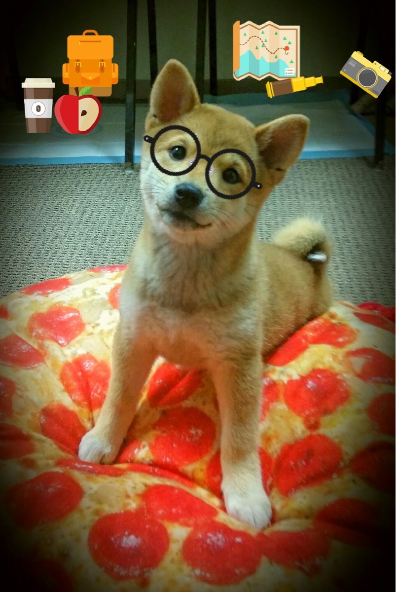 开云体育官网登入-乔纳·隆戈：全黑队的“恐怖边锋”，橄榄球场上的绝对主宰