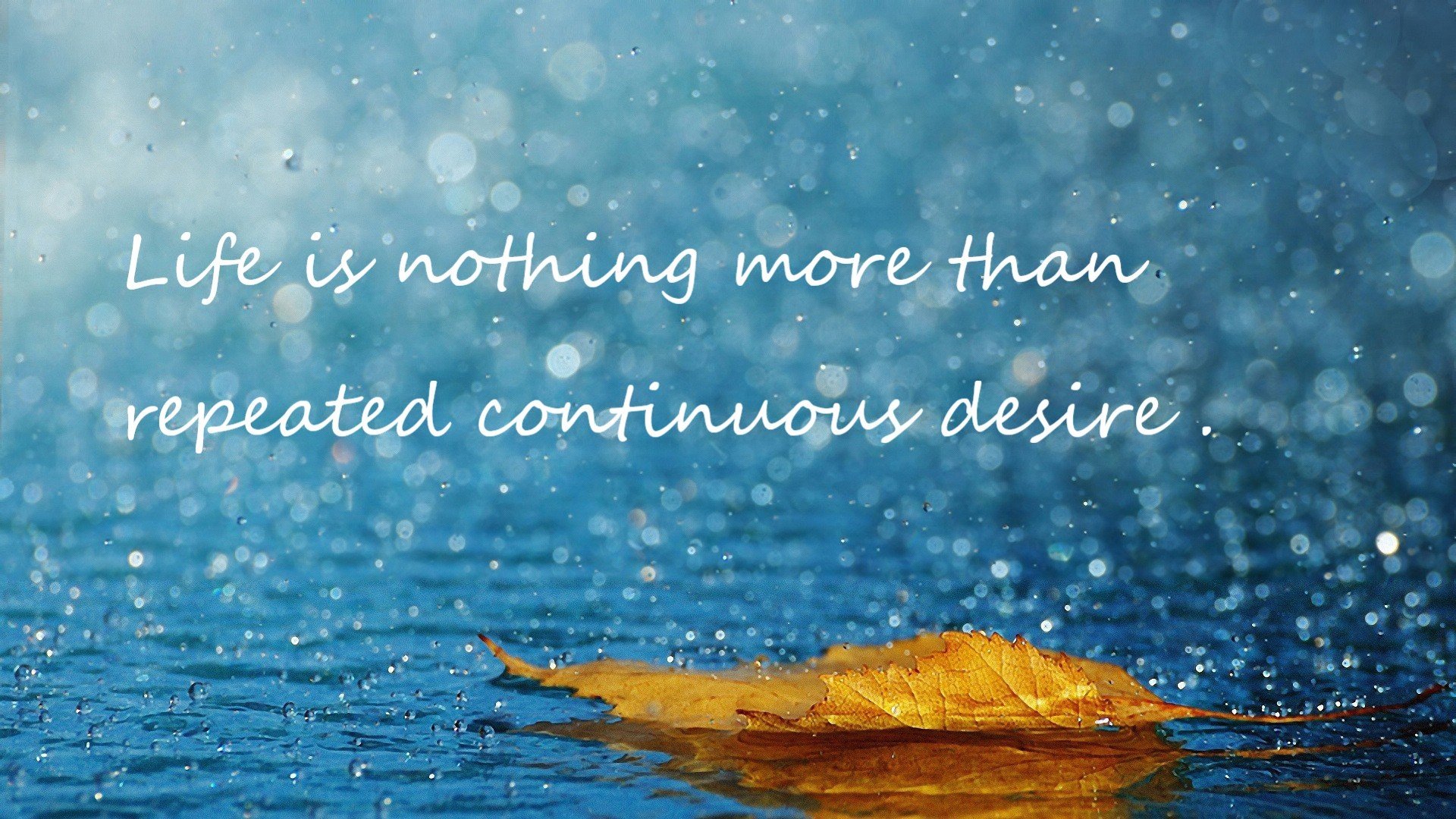 开云体育在线登入-南非羚羊队的反击战术：他们每次进攻都打得精准而犀利，南非大羚羊主要分布哪里