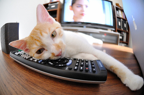 开云体育官网app-特斯·冯·迪克：精准的定位球助攻能力，为南非队提供进攻威胁，冯 斯特拉客