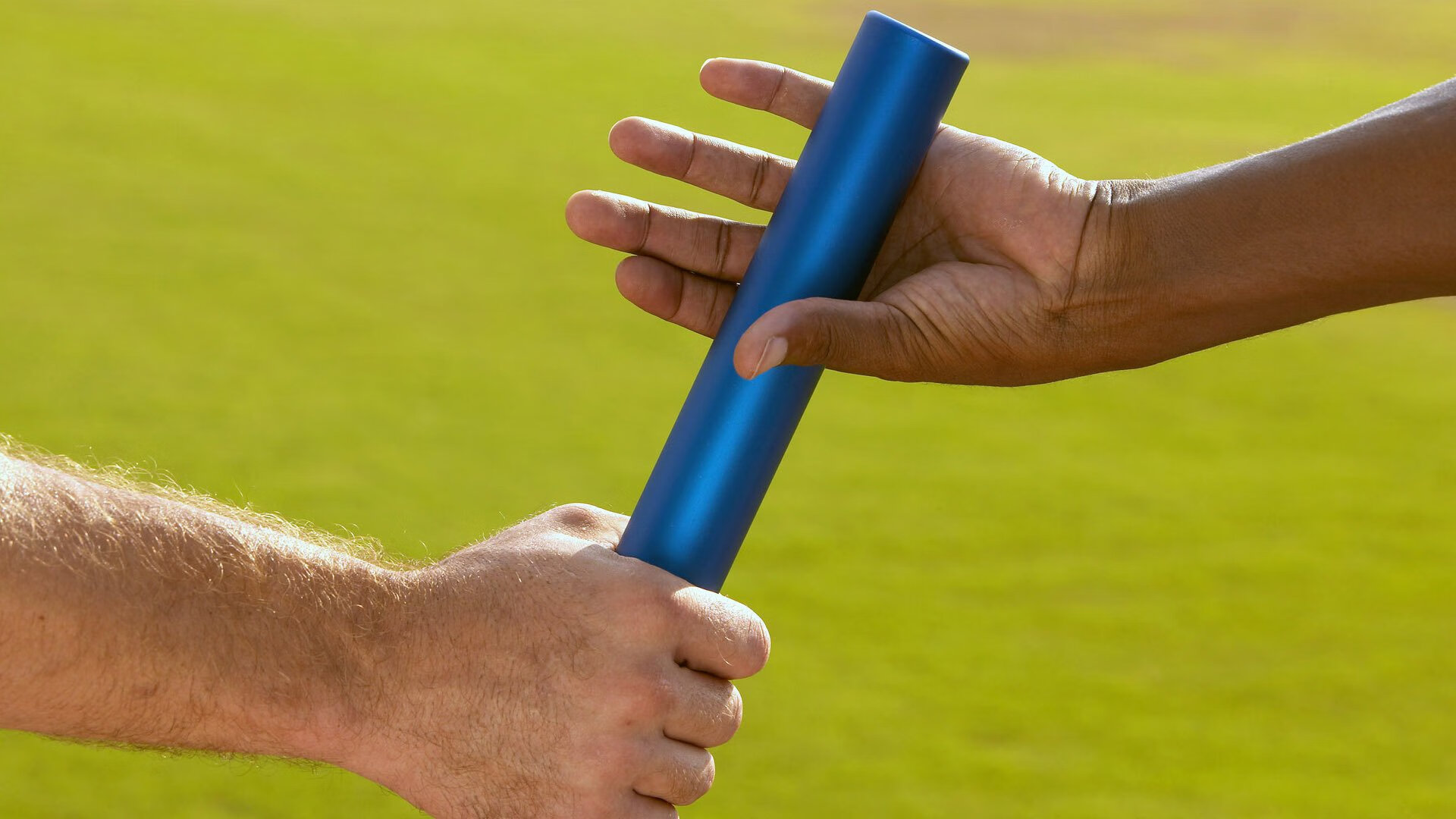 美洲杯赛场环境保护措施落实情况