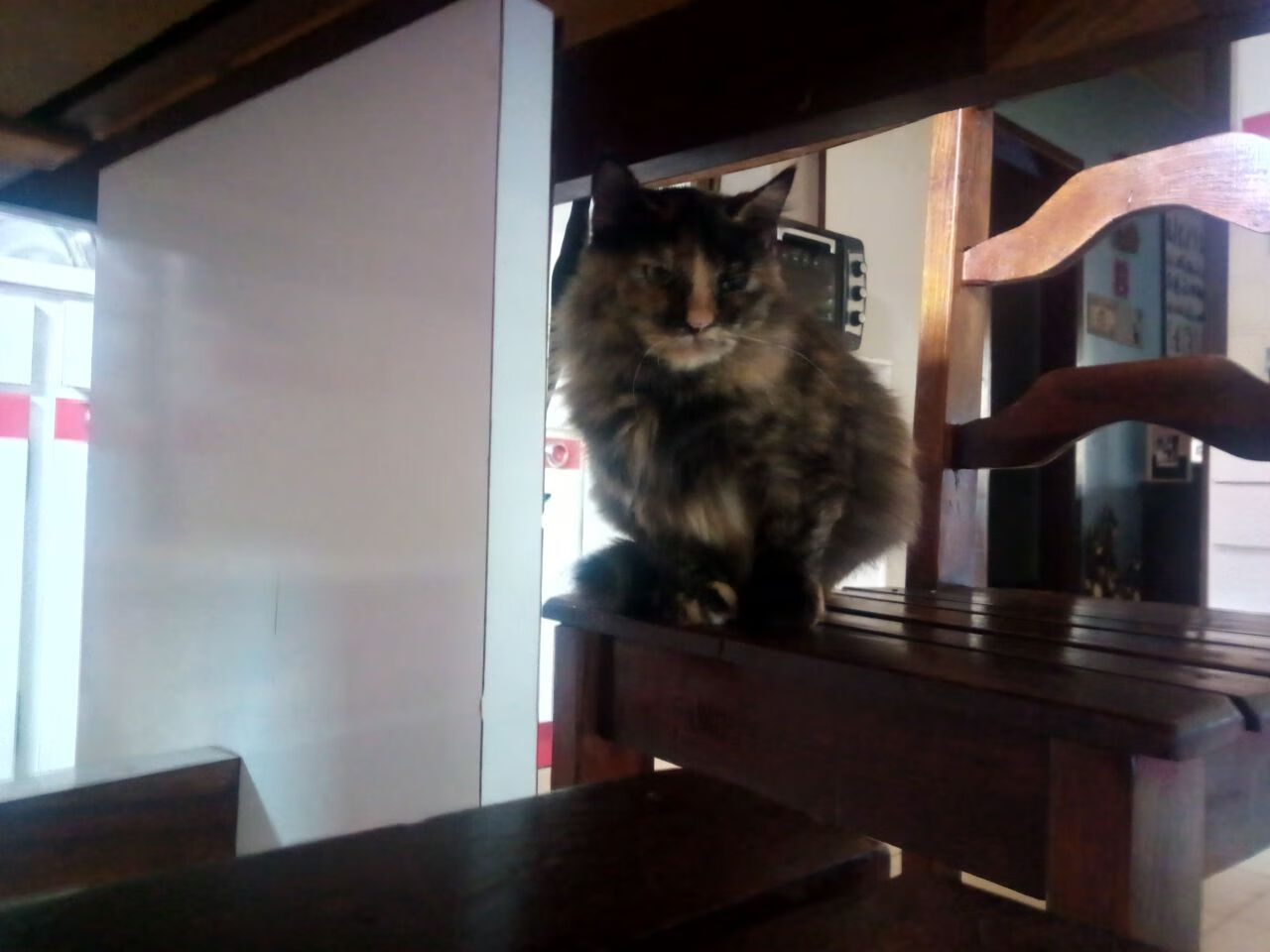 开云体育入口-英超主帅换人引发舆论风暴，英超最新换帅