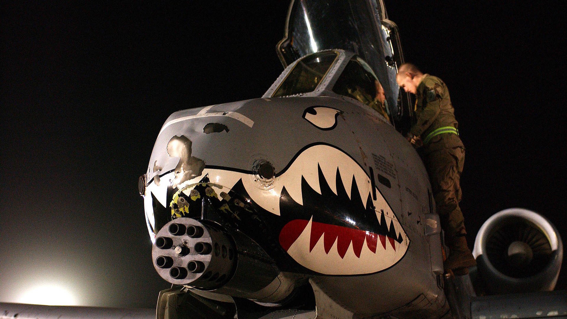 开云体育app注册-蝶泳项目突尼斯逐步展现实力，蝶泳 知乎