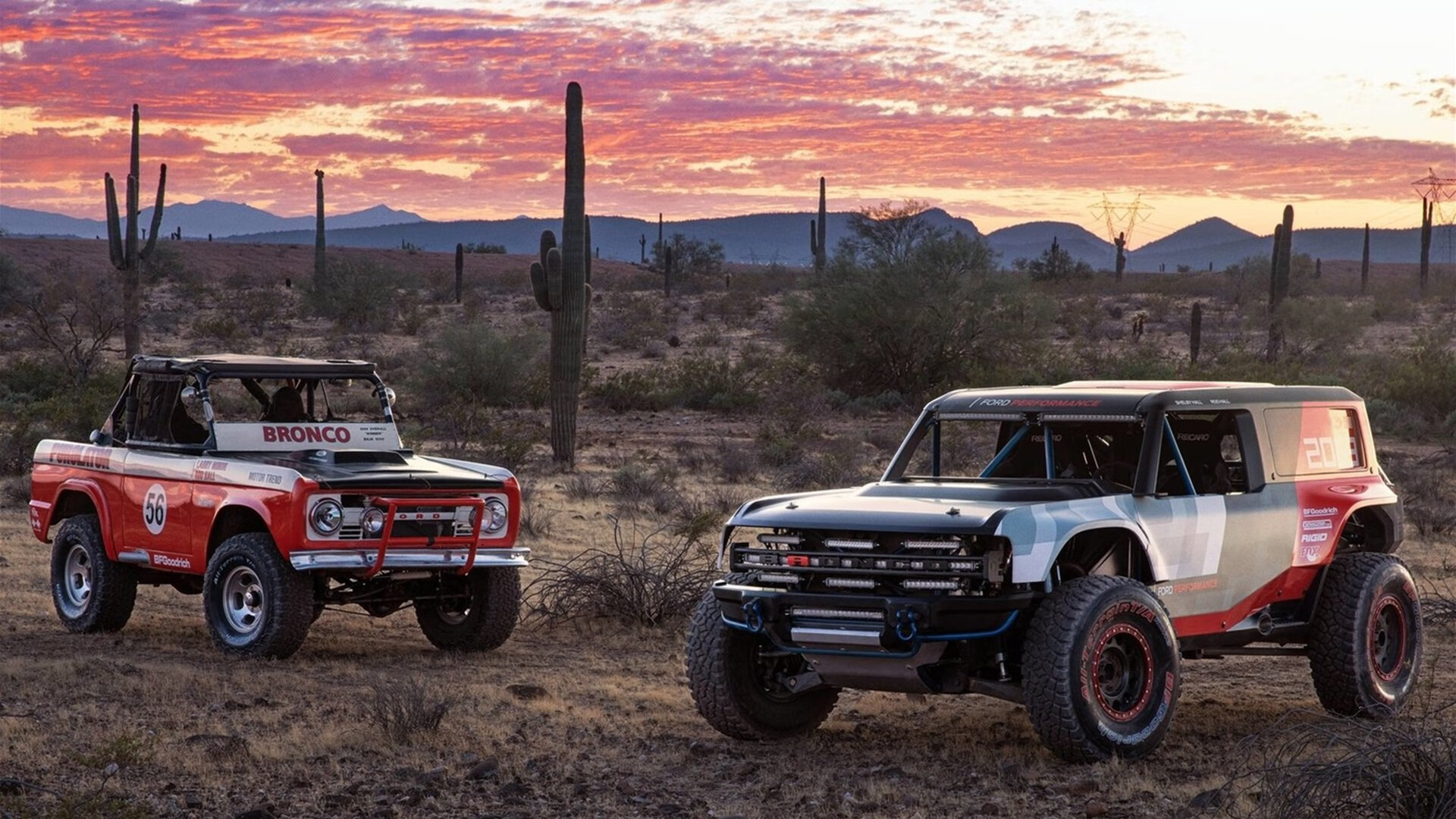 中国球迷文化篮球热情的本土表达，热衷于篮球