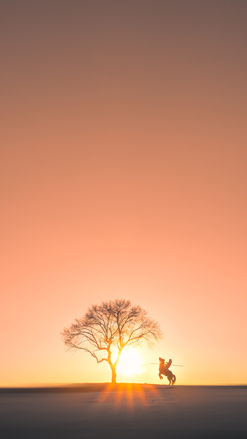 中国足球运动员营养健康管理体系研究，中国足球运动员身体素质